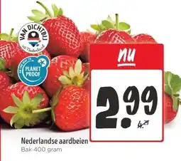 Jumbo Nederlandse aardbeien aanbieding