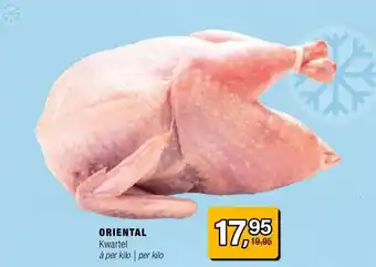 Amazing Oriëntal ORIENTAL aanbieding