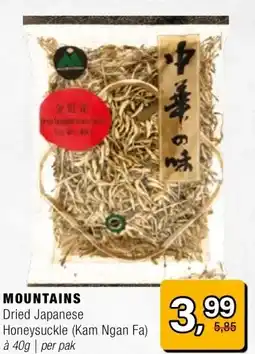 Amazing Oriëntal MOUNTAINS aanbieding