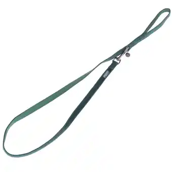 Zooplus Hondenriem Nomad Tales Blush, emerald - groen - 120 cm lang, 15 mm breed aanbieding