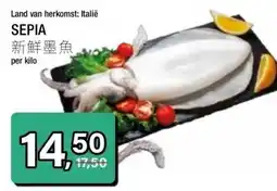 Amazing Oriëntal SEPIA 新鮮墨魚 aanbieding