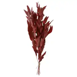 IKEA Torka Gedroogde bloemen-/plantendelen, rood aanbieding