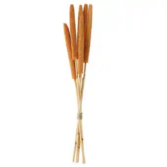 IKEA Torka Gedroogde bloemen-/plantendelen, oranje aanbieding