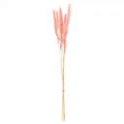 IKEA Torka Gedroogde bloemen-/plantendelen, lichtroze aanbieding