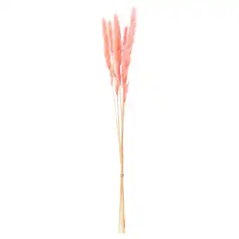 IKEA Torka Gedroogde bloemen-/plantendelen, lichtroze aanbieding