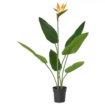 IKEA Fejka Kunstplant, binnen/buiten Paradijsvogelbloem, 19 cm aanbieding