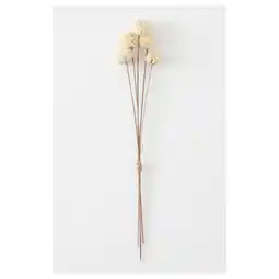 IKEA Torka Gedroogde bloemen-/plantendelen, wit aanbieding