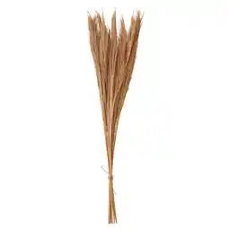 IKEA Torka Gedroogde bloemen-/plantendelen, beige aanbieding
