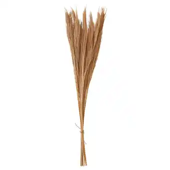 IKEA Torka Gedroogde bloemen-/plantendelen, beige aanbieding