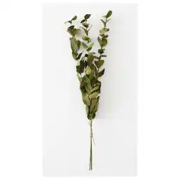IKEA Torka Gedroogde bloemen-/plantendelen, licht olijfgroen aanbieding