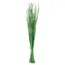IKEA Torka Gedroogde bloemen-/plantendelen, donkergroen aanbieding