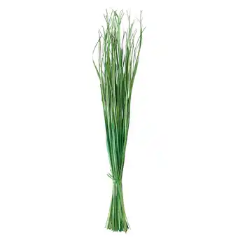 IKEA Torka Gedroogde bloemen-/plantendelen, donkergroen aanbieding