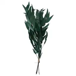 IKEA Torka Gedroogde bloemen-/plantendelen, lichtgroen aanbieding