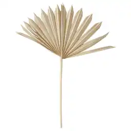 IKEA Torka Gedroogde bloemen-/plantendelen, naturel palm aanbieding