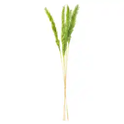 IKEA Torka Gedroogde bloemen-/plantendelen, groen aanbieding