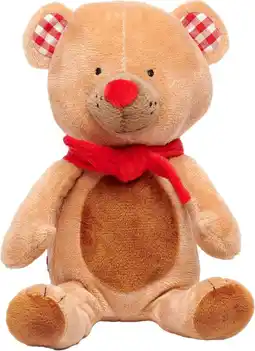 Intratuin Bambolino Toys knuffel Fien & Teun meneer beer bruin 10 x 10 x 20 cm aanbieding