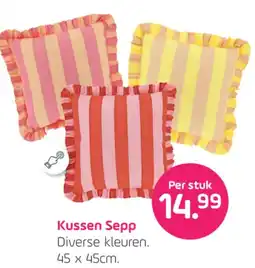 Coppelmans Kussen Sepp aanbieding