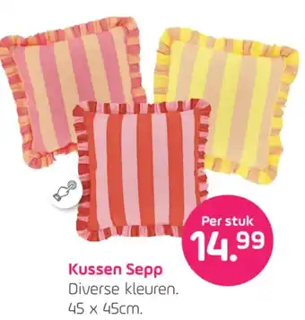 Coppelmans Kussen Sepp aanbieding