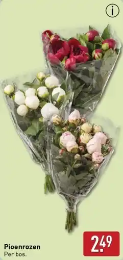 ALDI Pioenrozen aanbieding