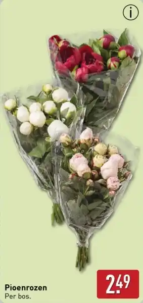 ALDI Pioenrozen aanbieding