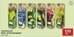 ALDI Gardenline kiwi of druivenplant aanbieding