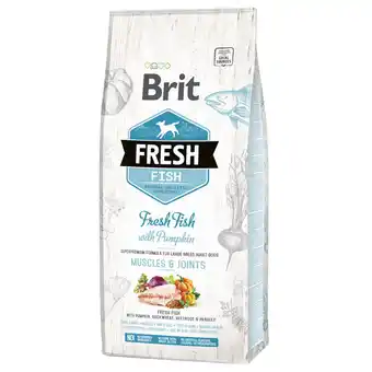 Zooplus Brit Fresh Vis met pompoen Adult Large - Dubbelpak: 2 x 12 kg aanbieding