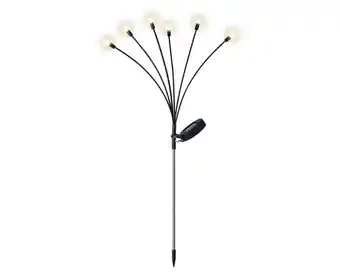 Welkoop Lumineo Vuurvliegje - Solar tuinsteker - Plastic - Zwart/warm wit aanbieding