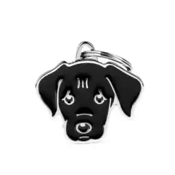 Welkoop My Family Labrador - Hondenpenning - Zwart - M - 33x30 mm aanbieding