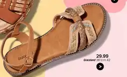 vanHaren Graceland aanbieding