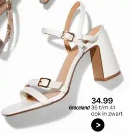 vanHaren Graceland aanbieding