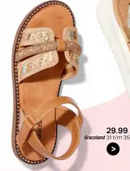 vanHaren Graceland aanbieding