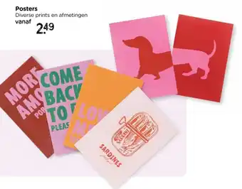 Xenos Posters aanbieding