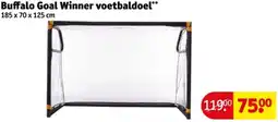 Kruidvat Buffalo Goal Winner voetbaldoel aanbieding