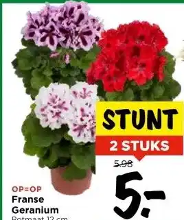 Vomar Voordeelmarkt Franse Geranium aanbieding