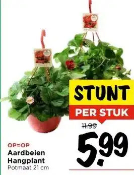 Vomar Voordeelmarkt Aardbeien Hangplant aanbieding