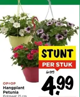 Vomar Voordeelmarkt Hangplant Petunia aanbieding