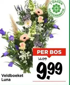 Vomar Voordeelmarkt Veldboeket Luna aanbieding