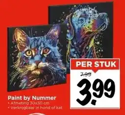 Vomar Voordeelmarkt Paint by Nummer aanbieding
