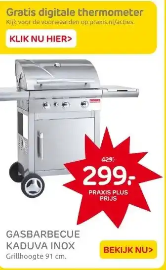 Praxis GASBARBECUE KADUVA INOX aanbieding