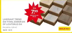 Praxis LAMINAAT TREND EIK TITAN, ZOMER EIK OF LICHTGRIJS EIK aanbieding