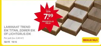 Praxis LAMINAAT TREND EIK TITAN, ZOMER EIK OF LICHTGRIJS EIK aanbieding