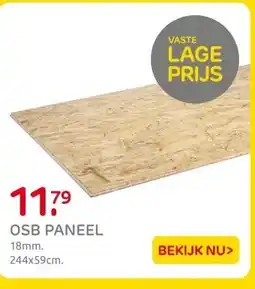 Praxis OSB PANEEL aanbieding