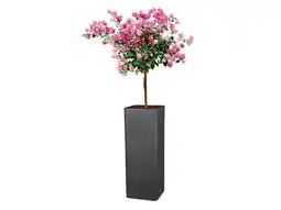 Lidl Scheurich Hoge pot aanbieding
