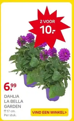 Praxis DAHLIA LA BELLA GARDEN aanbieding