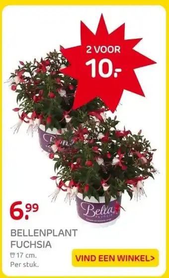 Praxis BELLENPLANT FUCHSIA aanbieding