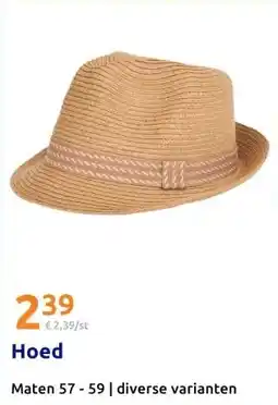 Action Hoed aanbieding