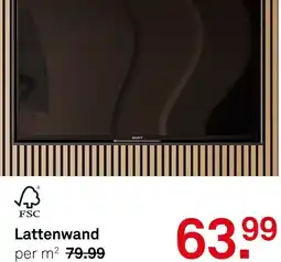 Karwei Lattenwand aanbieding