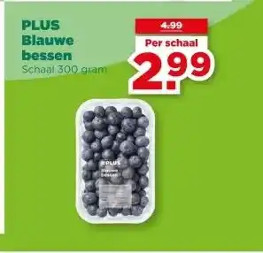 PLUS PLUS Blauwe bessen aanbieding