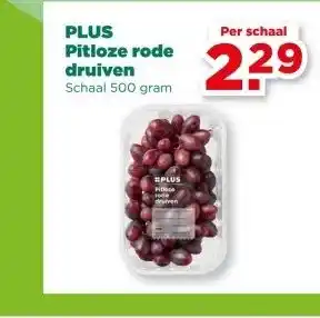 PLUS PLUS Pitloze rode druiven aanbieding