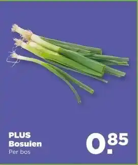 PLUS PLUS Bosuien aanbieding